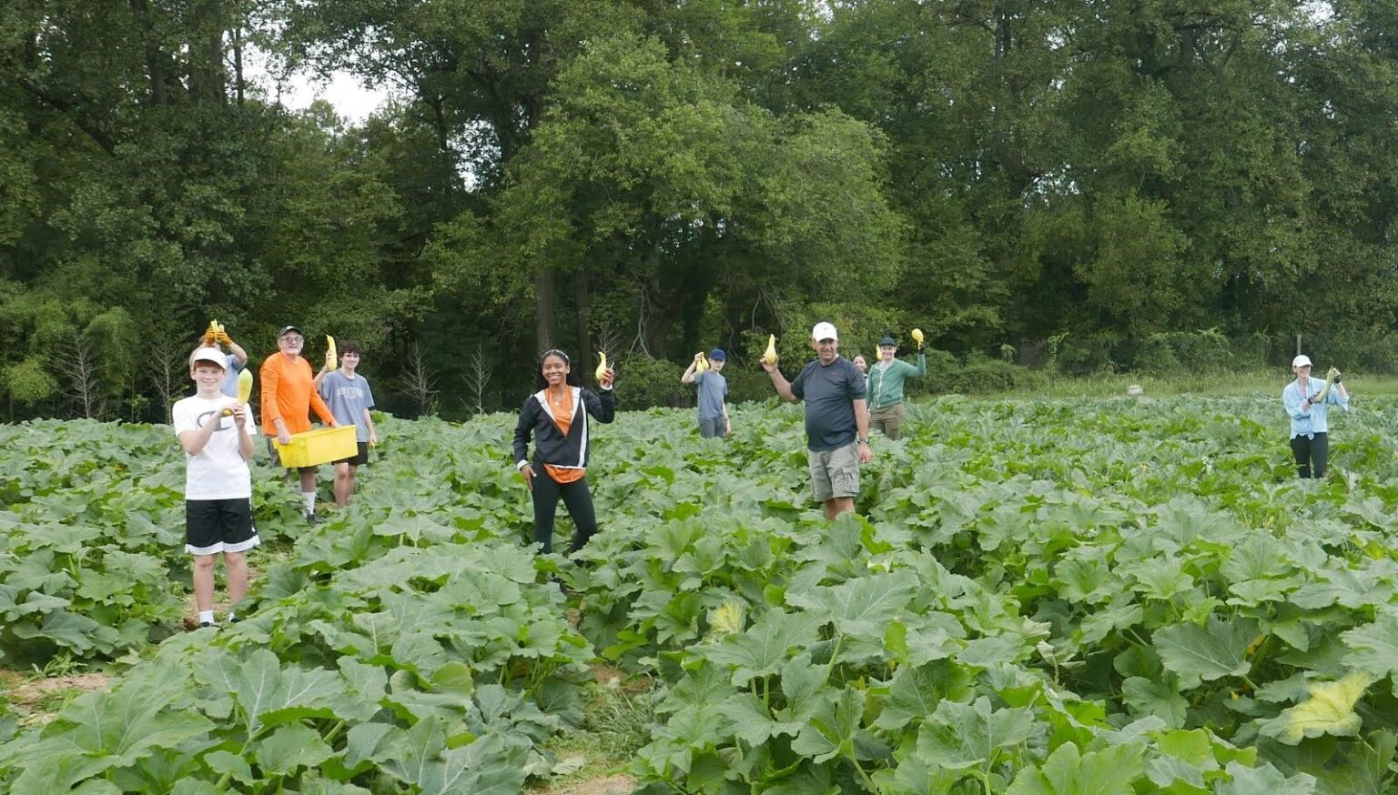 Community Food Rescue| 2024 RECAP - Community Food Rescue